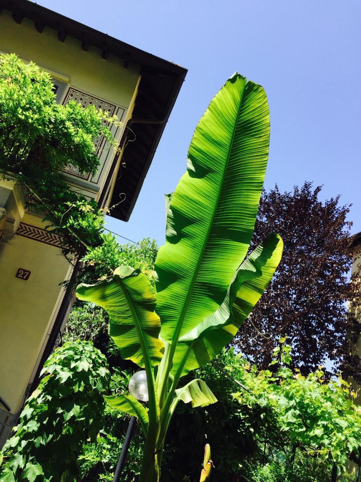 Bosco Verticale - Isola Garden * Milan